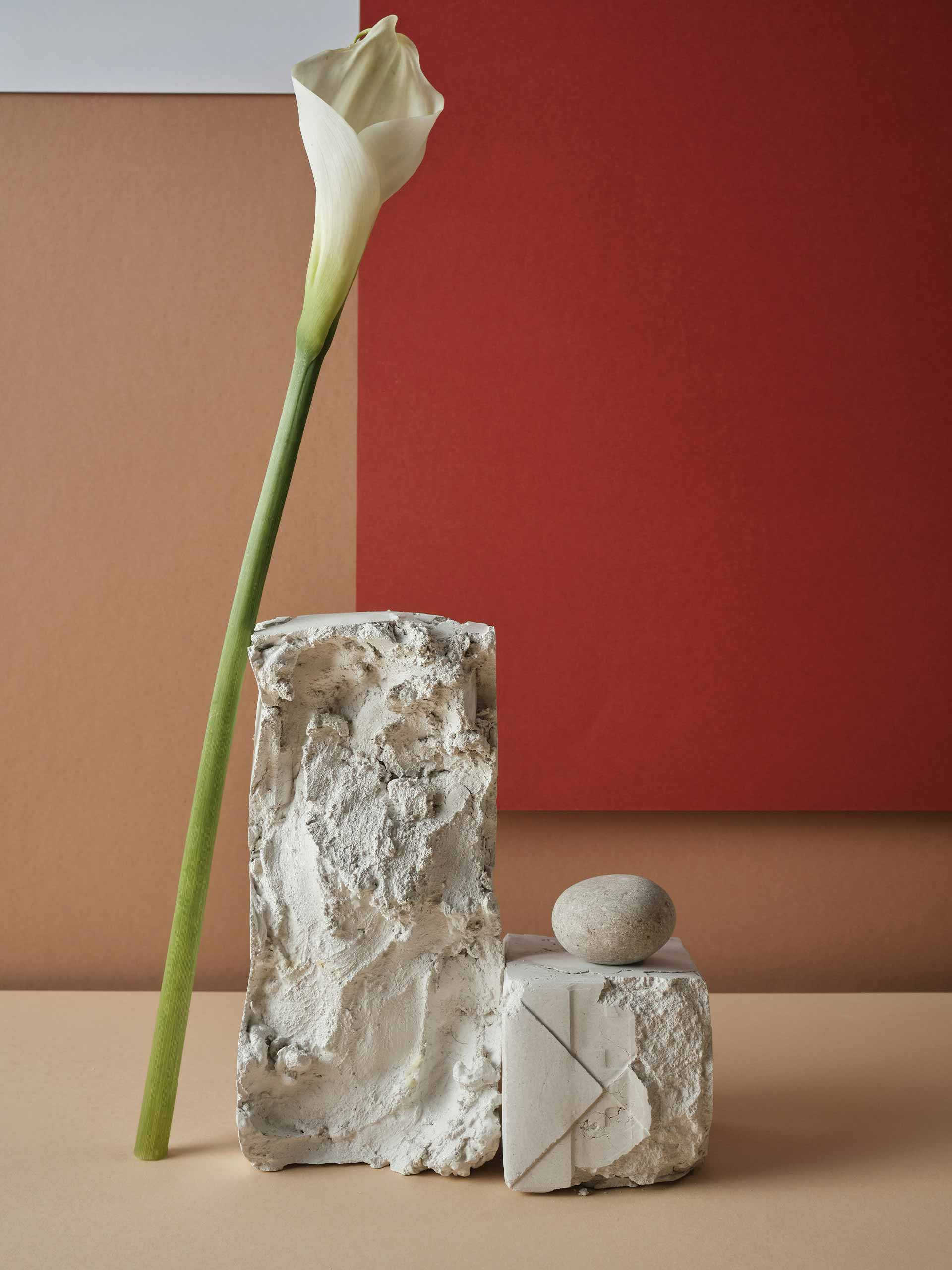 rockpaperscissors-holding-andrej-lisakov-unsplash