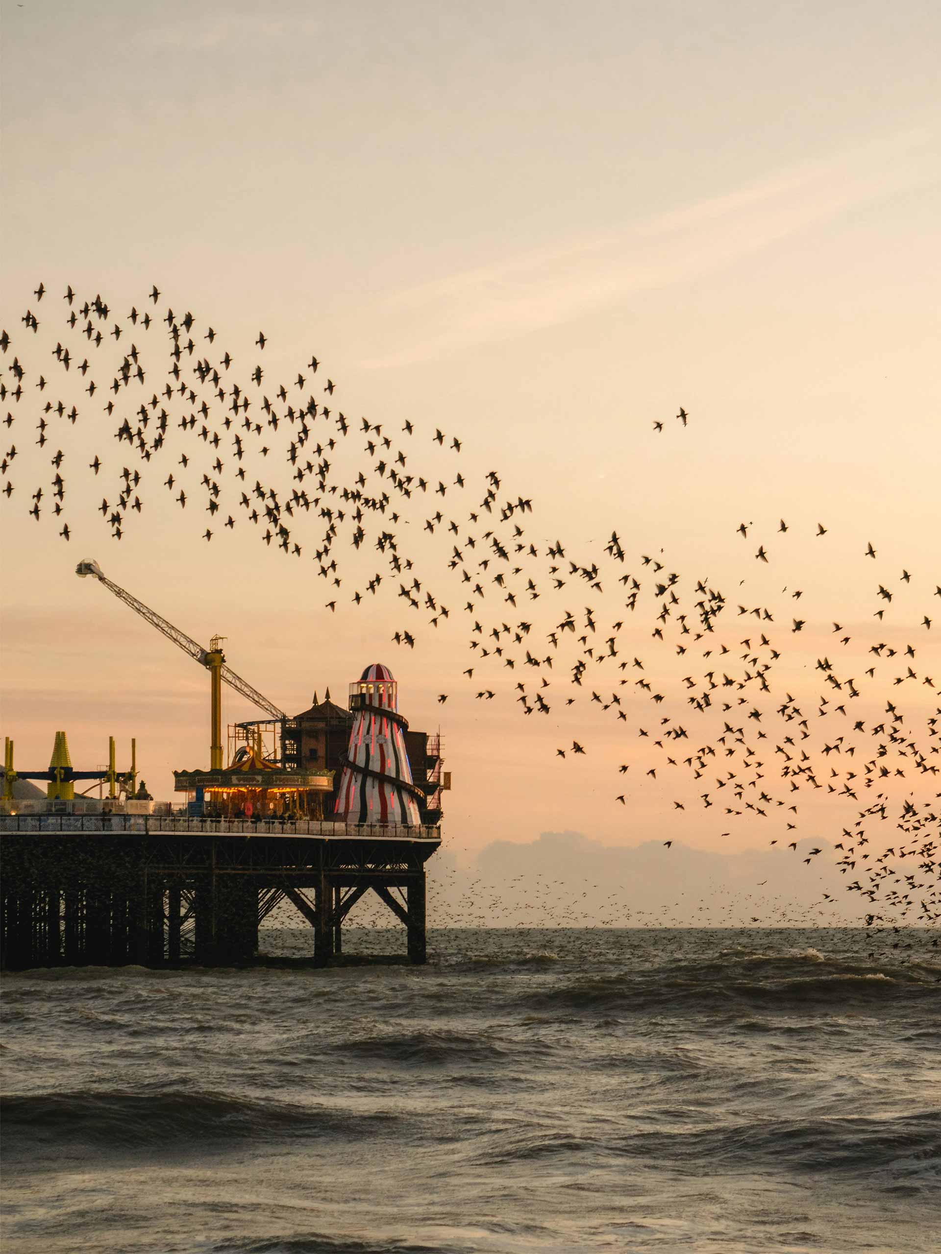 british-seaside-holding-rhys-kentish-unsplash